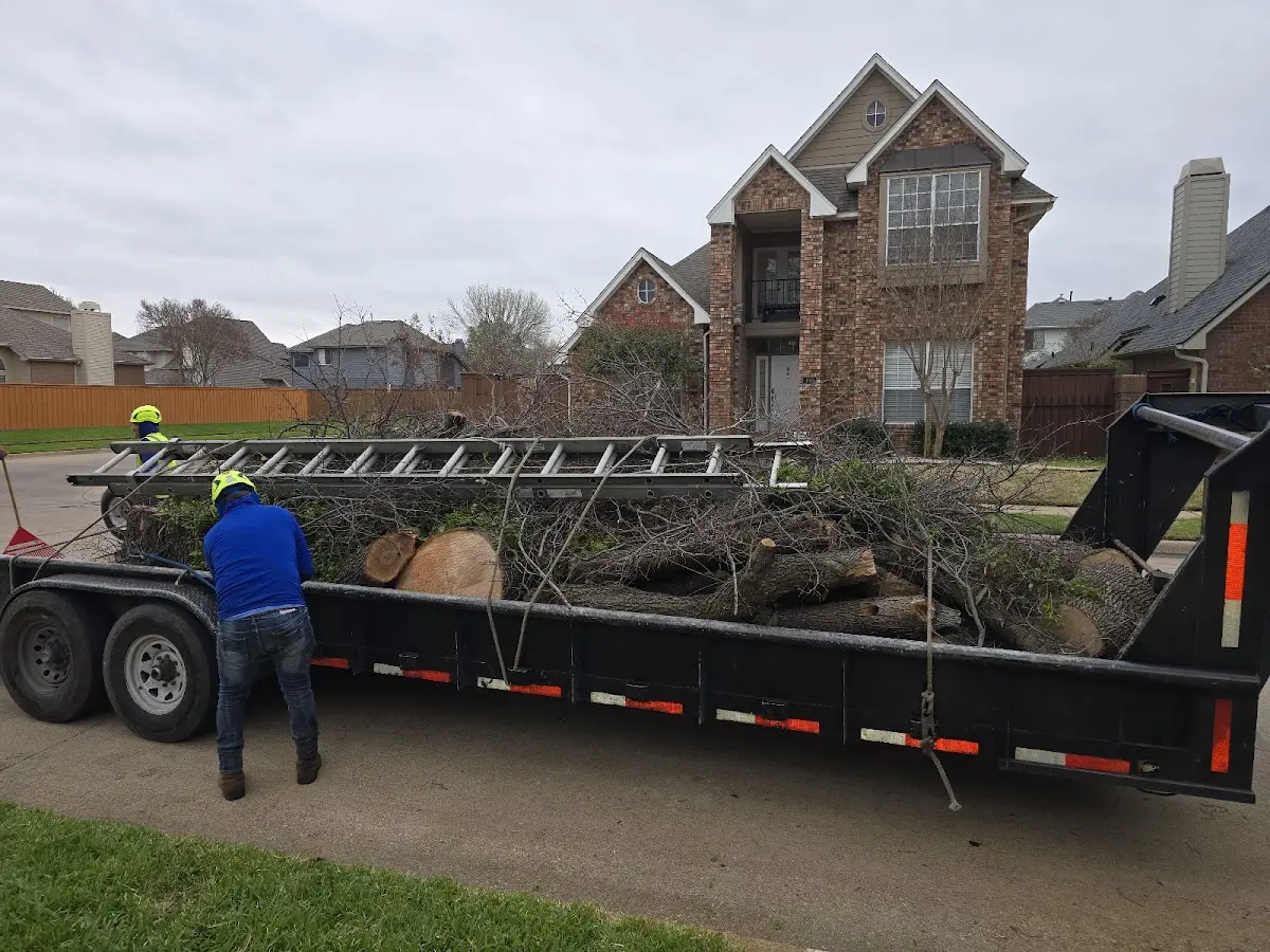 Expert Lot Clearing with proper safety equipment in Laura